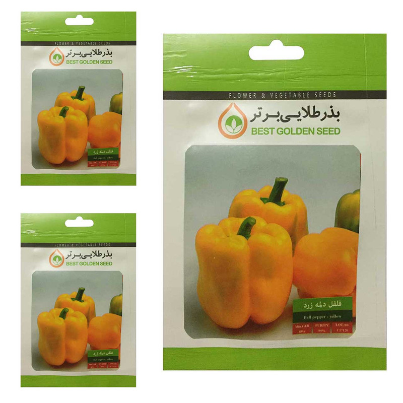 بذر فلفل دلمه زرد بذر طلایی برتر کد BTB-65 مجموعه 3 عددی