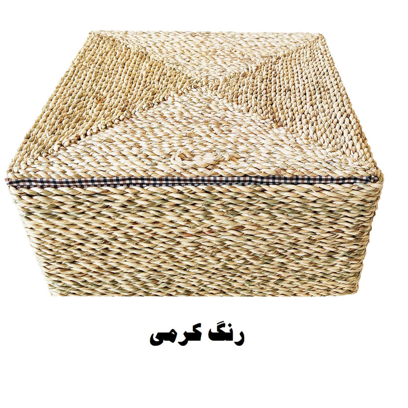 ارگانایزر مدل BIAF036