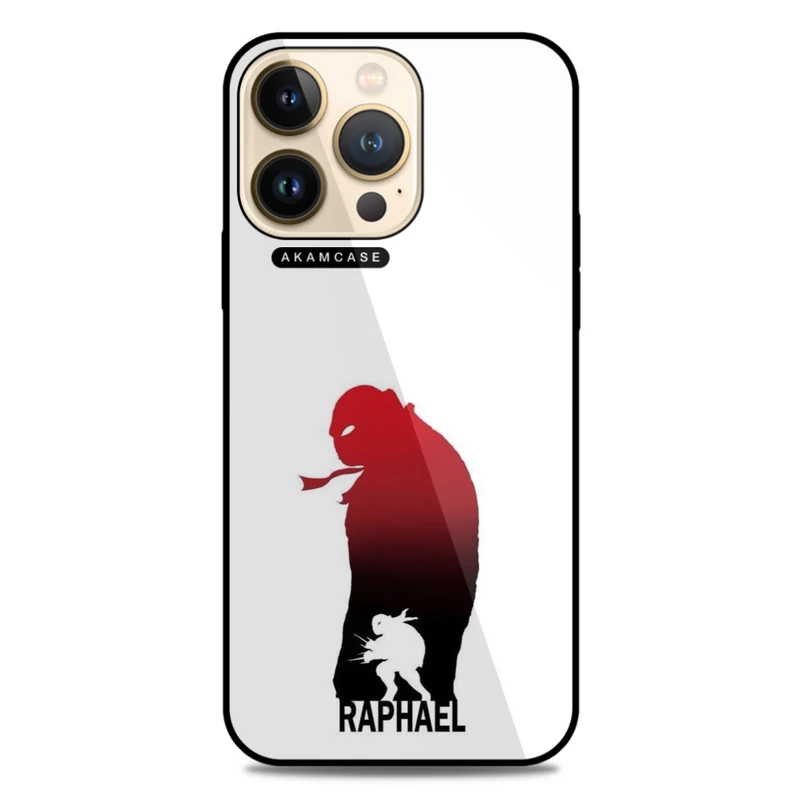 کاور آکام مدل AMC-WA13PRO-NINJA TURTLES7 مناسب برای گوشی موبایل اپل iPhone 13 Pro