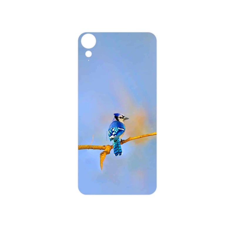 برچسب پوششی ماهوت مدل Cyanocitta cristata مناسب برای گوشی موبایل اچ تی سی Desire 10 Lifestyle
