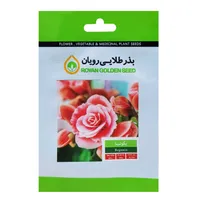 بذر گل بگونیا بذر طلایی رویان کد BZT-159