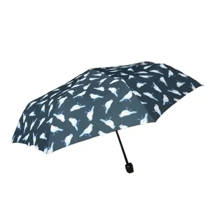 چتر سیکس مدل click 