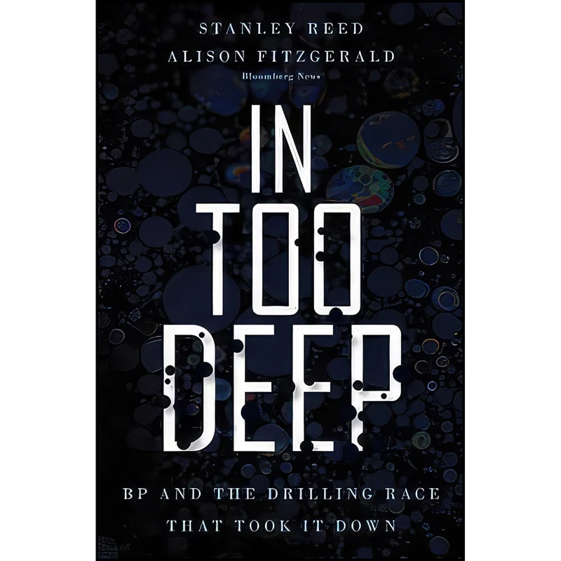 کتاب In Too Deep اثر Stanley Reed and Alison Fitzgerald انتشارات Bloomberg Press