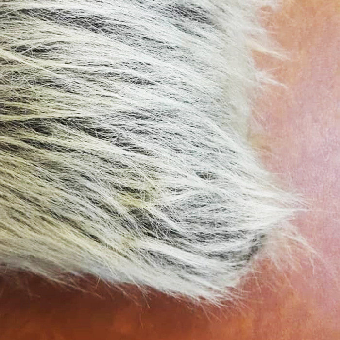 کاور کوسن مدل خز خرگوشی کد CU006A01 کاور کوسن مدل خز خرگوشی کد CU006A01