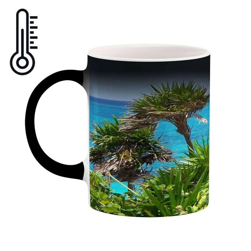 ماگ حرارتی کاکتی مدل دریا کد mgh11380