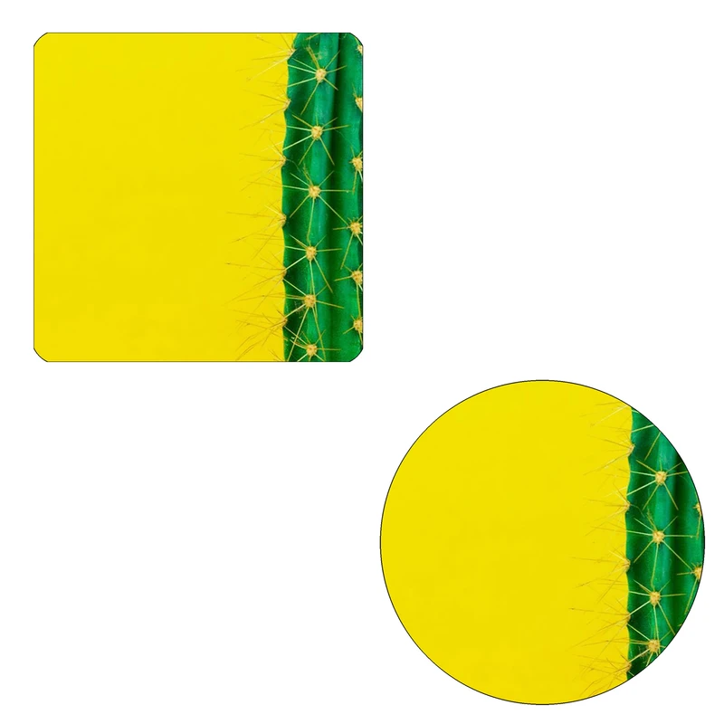 مگنت طرح کاکتوس کد M1 به همراه زیر لیوانی