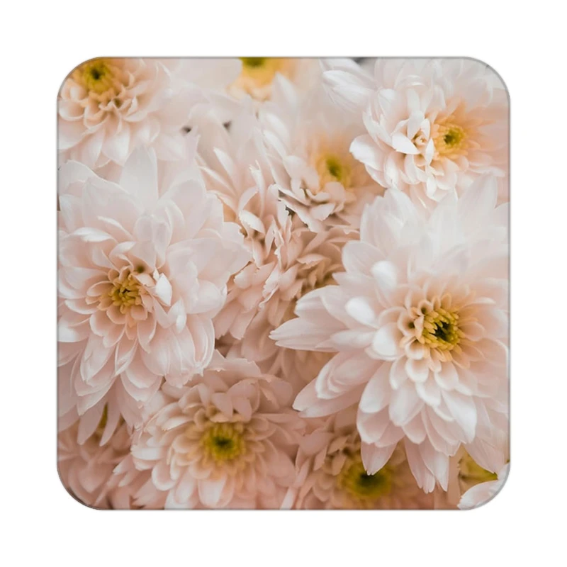 زیر لیوانی کاکتی طرح گل مدل mp16367