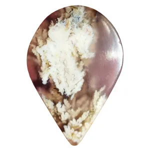 سنگ عقیق مدل شجر دریایی اشکی