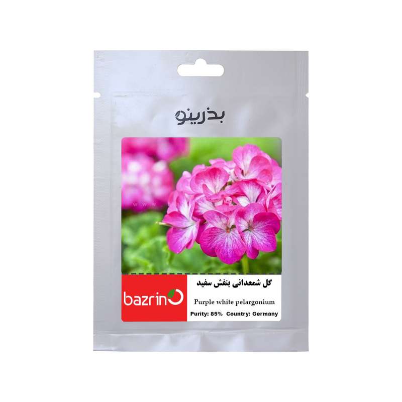 بذر گل شمعدانی بنفش سفید بذرینو کد BZNO-090