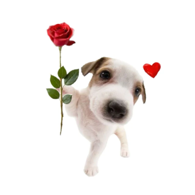 استیکر پارچه و لباس پاد آفرین مدل سگ بامزه جذاب کد 994