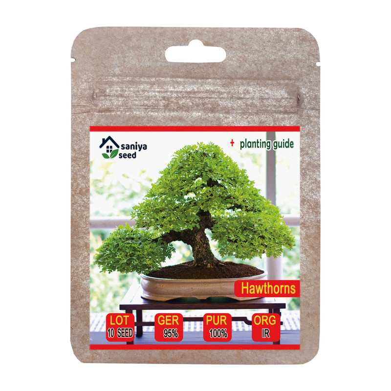 بذر بنسای زالزالک سانیا سید مدل S108