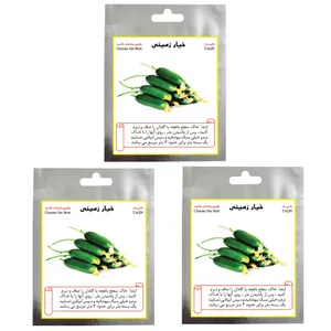 بذر خیار زمینی تالین بذر مدل TAL-009 مجموعه 3 عددی