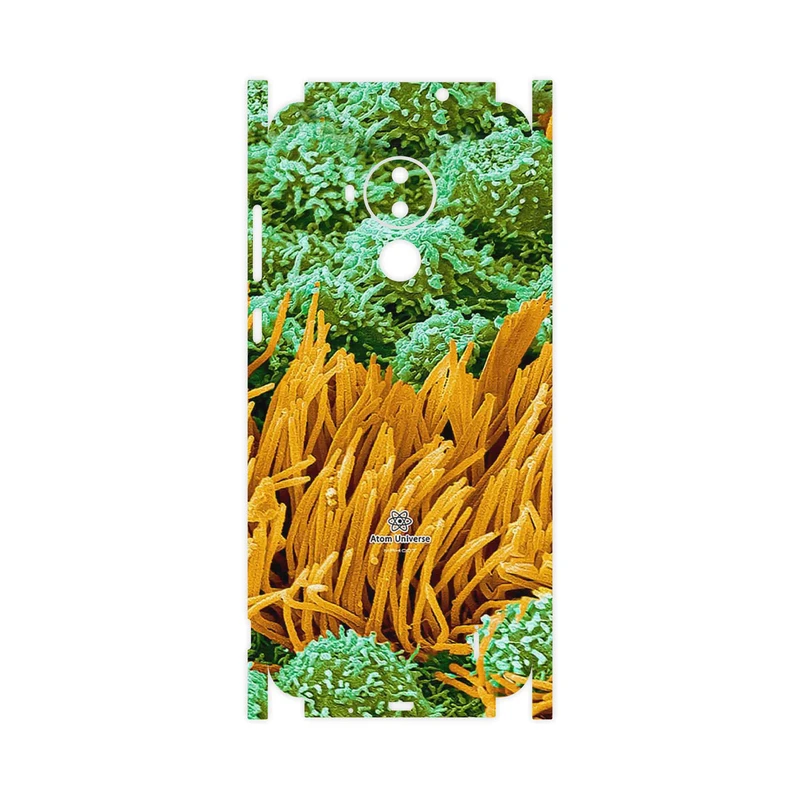 برچسب پوششی ماهوت مدل Atom Universe 6-FullSkin مناسب برای گوشی موبایل نوکیا C30