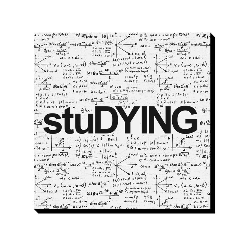 تابلو شاسی ترمه طراحان ایده مدل stuDYING کد trm507