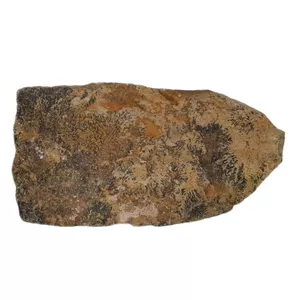 سنگ راف مدل شجرفسیلی کد 184