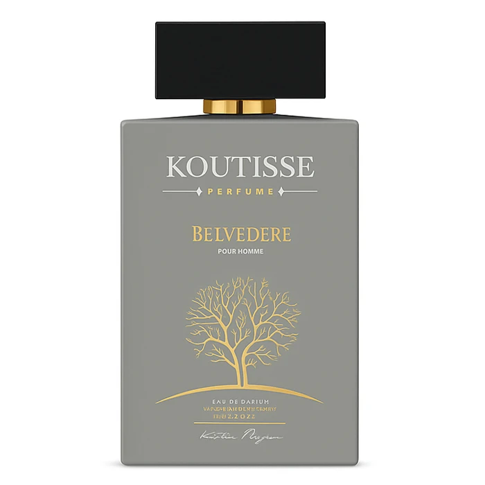 ادو پرفیوم مردانه بلودر مدل KOUTISSE Gray با رایحه خنک و تلخ حجم 100 میلی لیتر