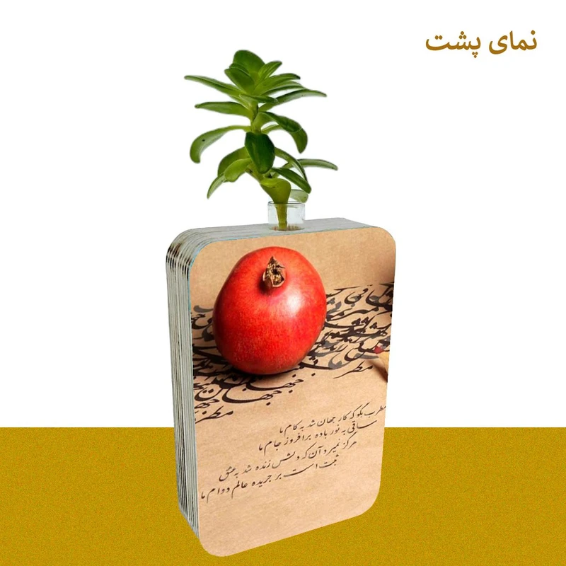 عکس شماره 3