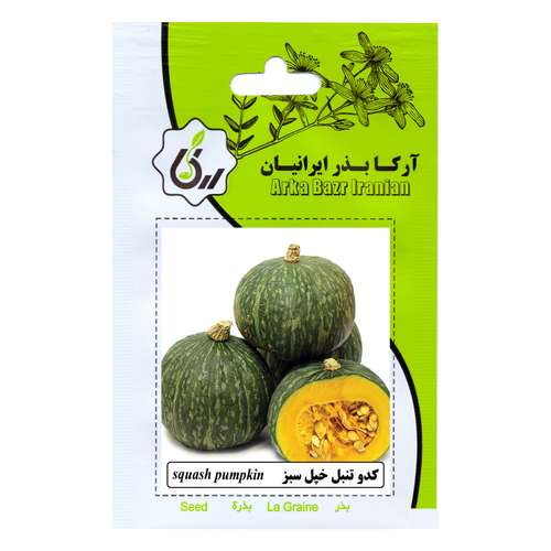 بذر کدو تنبل خپل سبز آرکا بذر ایرانیان مدل B117