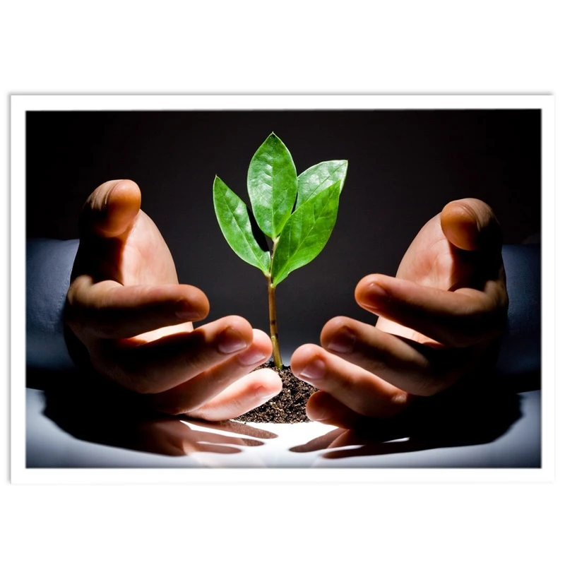 تابلو نوری بکلیت طرح جوانه و مدیتیشن مدل W-S1191