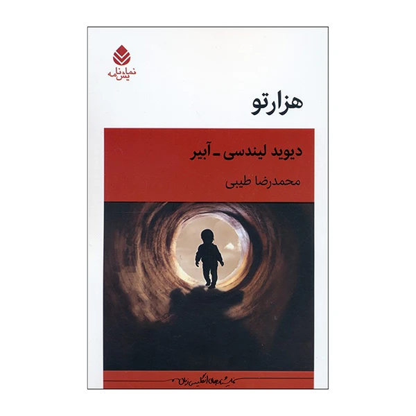 کتاب هزارتو اثر دیوید لیندسی و آبیر ترجمه محمدرضا طیبی نشر قطره