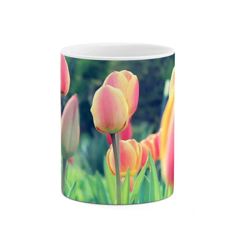 ماگ کاکتی مدل گل کد mgh12069