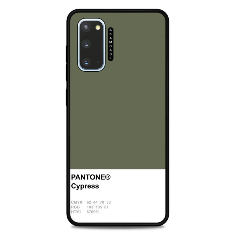 کاور آکام مدل AMC-WSGS20-PANTONE-5 مناسب برای گوشی موبایل سامسونگ Galaxy S20
