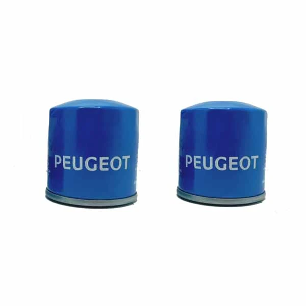 فیلتر روغن هنگ مدل HFO04 مناسب برای پژو پارس بسته 2 عددی