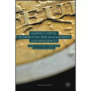 کتاب Raising Capital or Improving Risk Management and Efficiency? اثر Fabiano Colombini انتشارات Palgrave Macmillan
