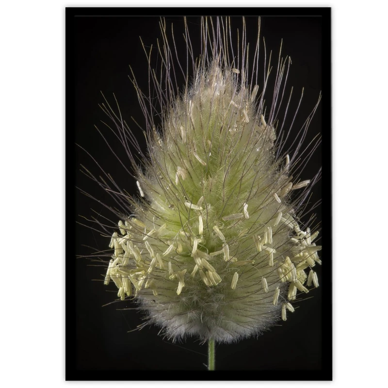 تابلو بکلیت طرح عکاسی طبیعت مدل B-10039