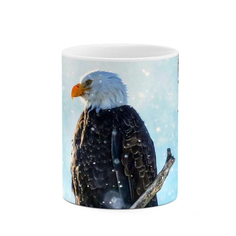 ماگ کاکتی مدل عقاب کد mgh16719