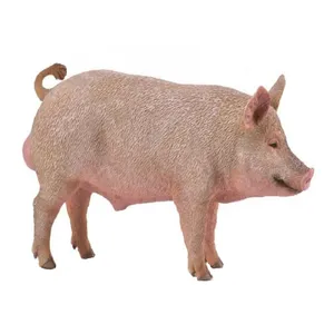 فیگور مدل گراز