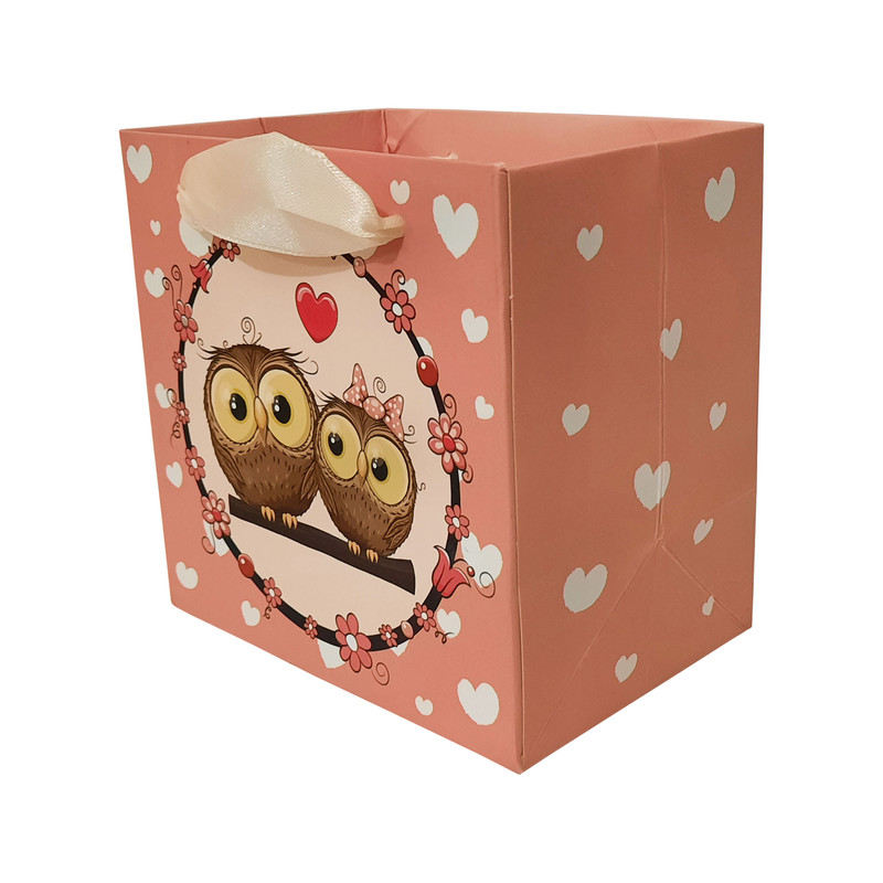 پاکت هدیه طرح جغد کد G101