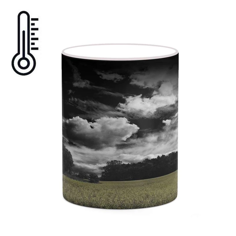 ماگ حرارتی کاکتی مدل منظره کد mgh20782