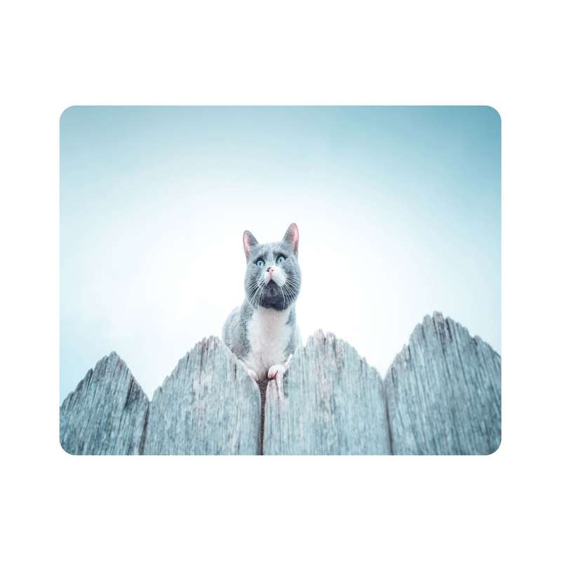 ماوس پد اطلس آبی طرح گربه مدل T7978