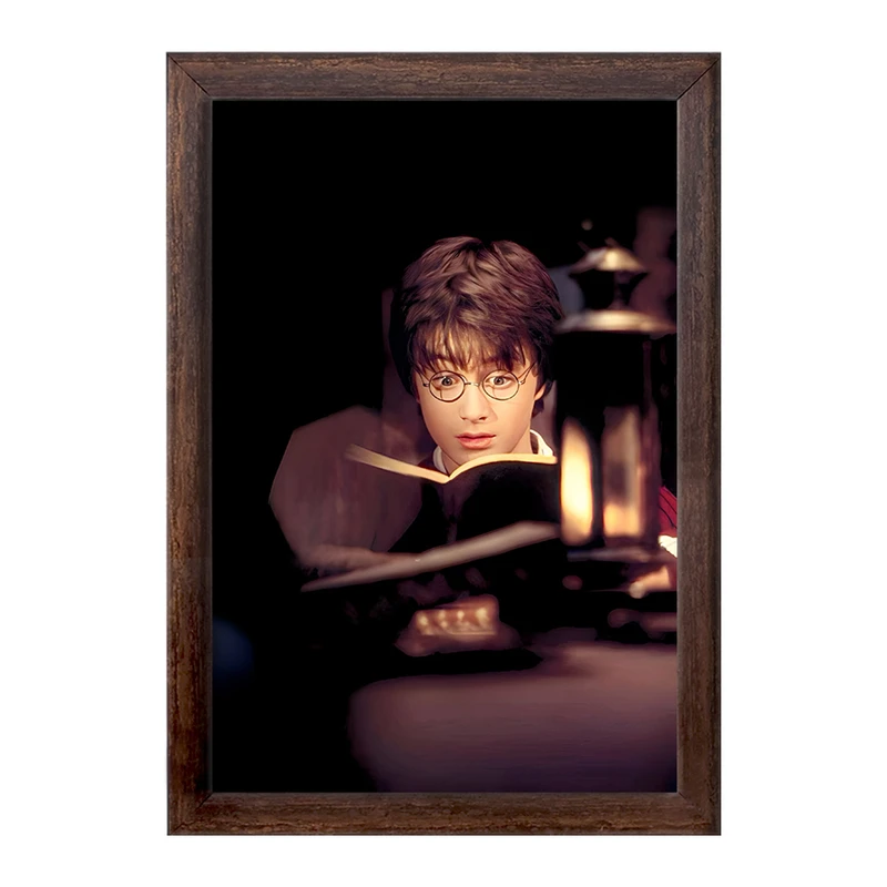 تابلو خندالو طرح هری پاتر (Harry Potter) کد F6001