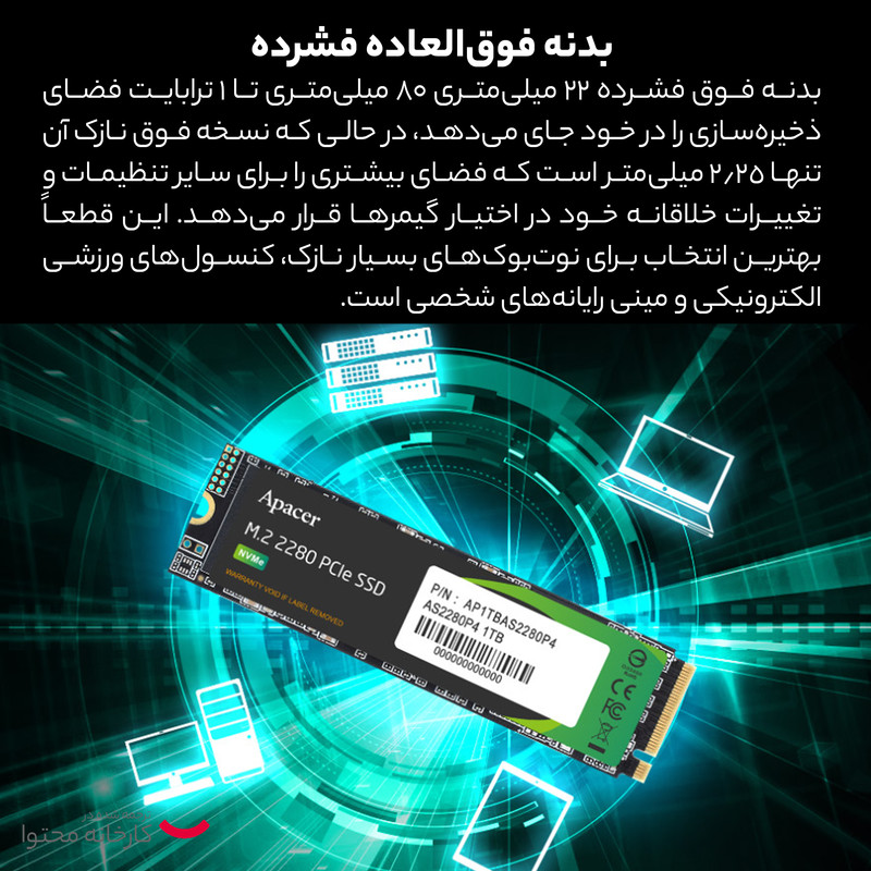 اس اس دی اینترنال M.2 2280 اپیسر مدل AST2280P4 ظرفیت 256 گیگابایت
