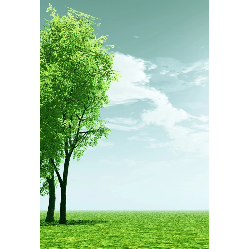 تابلو شاسی مدل نقاشی درخت و آسمان T7131
