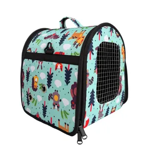 باکس حمل پرنده مدل پرنده کارتونی