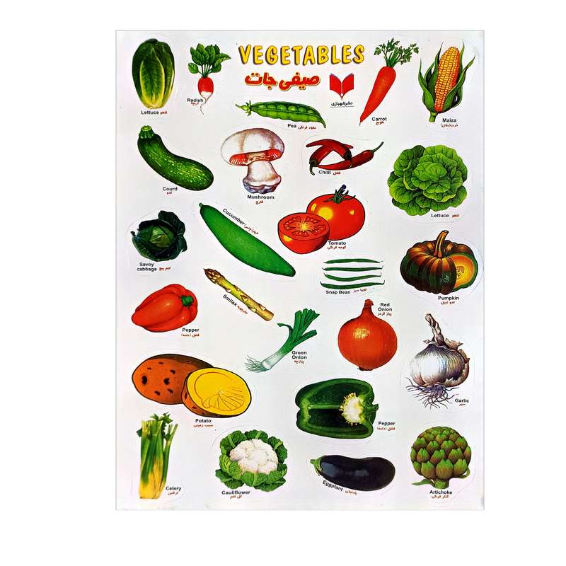 برچسب مدل صیفی جات