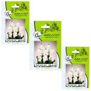 بذر گل شب بو سفید آرکا بذر ایرانیان کد 210 -ARK مجموعه 3 عددی