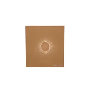 فیلتر لنز کوکین مدل SQUARE FILTER CHAMPAGNE - A SERIES 695