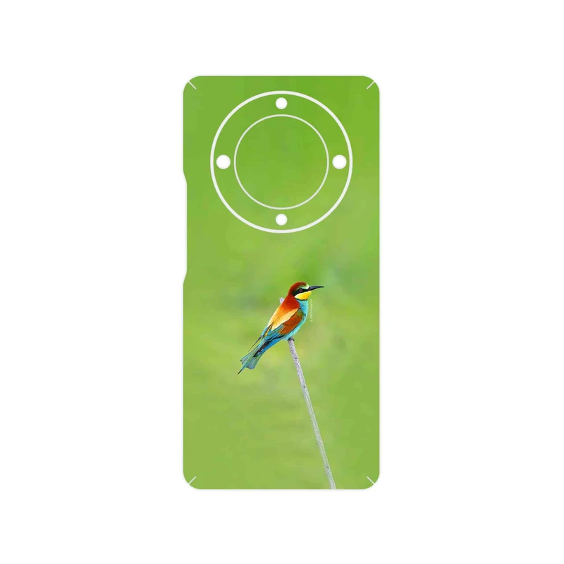 برچسب پوششی ماهوت مدل European bee-eater مناسب برای گوشی موبایل آنر Magic 5 Lite