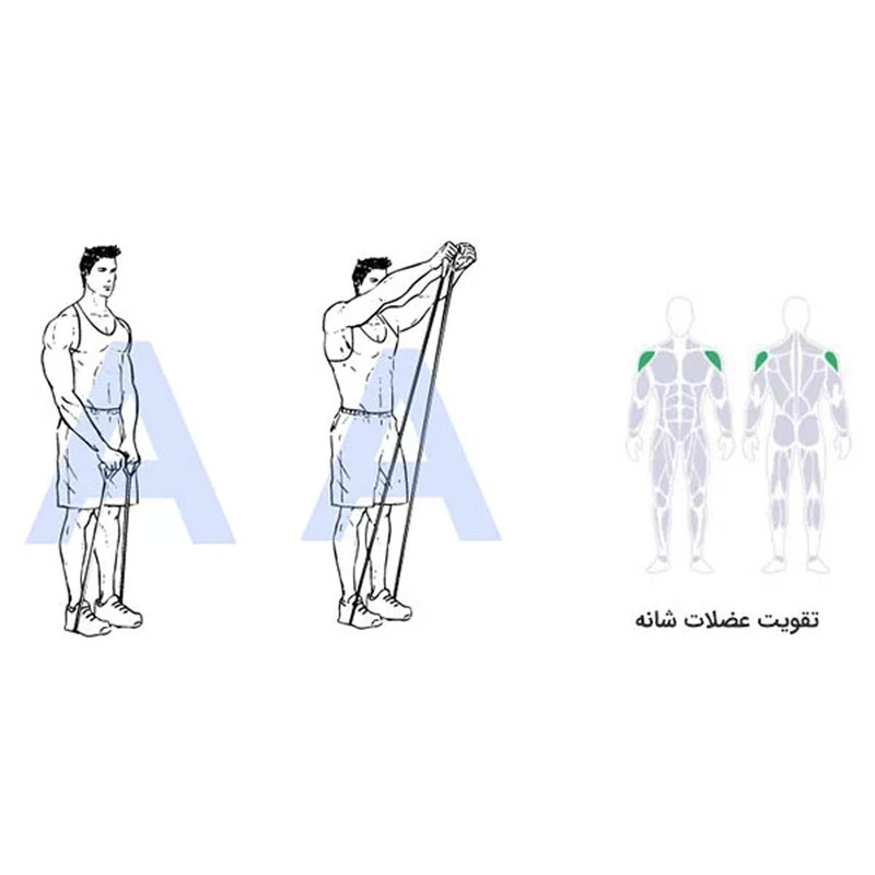 کش ورزشی تن زیب مدل CX200-25lb