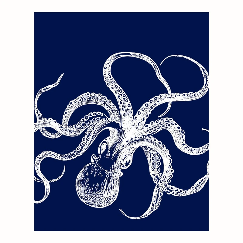 پوستر مدل  هشت‌پا  