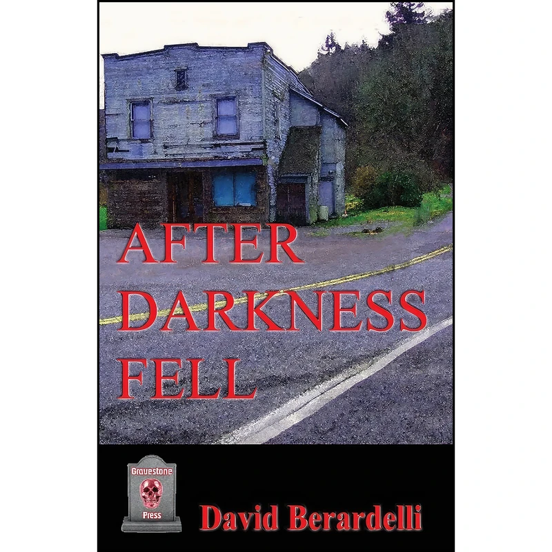 کتاب After Darkness Fell اثر David Berardelli انتشارات Gravestone Press