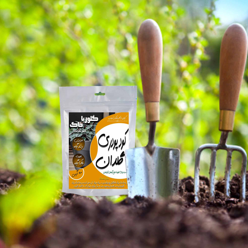 کود پودری گلدان گلوریا خاک مدل GDAN وزن 50 گرم