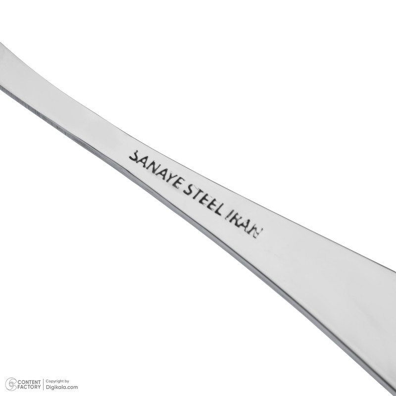 ست کارد و چنگال میوه خوری 12 پارچه صنایع استیل ایران مدل پارما