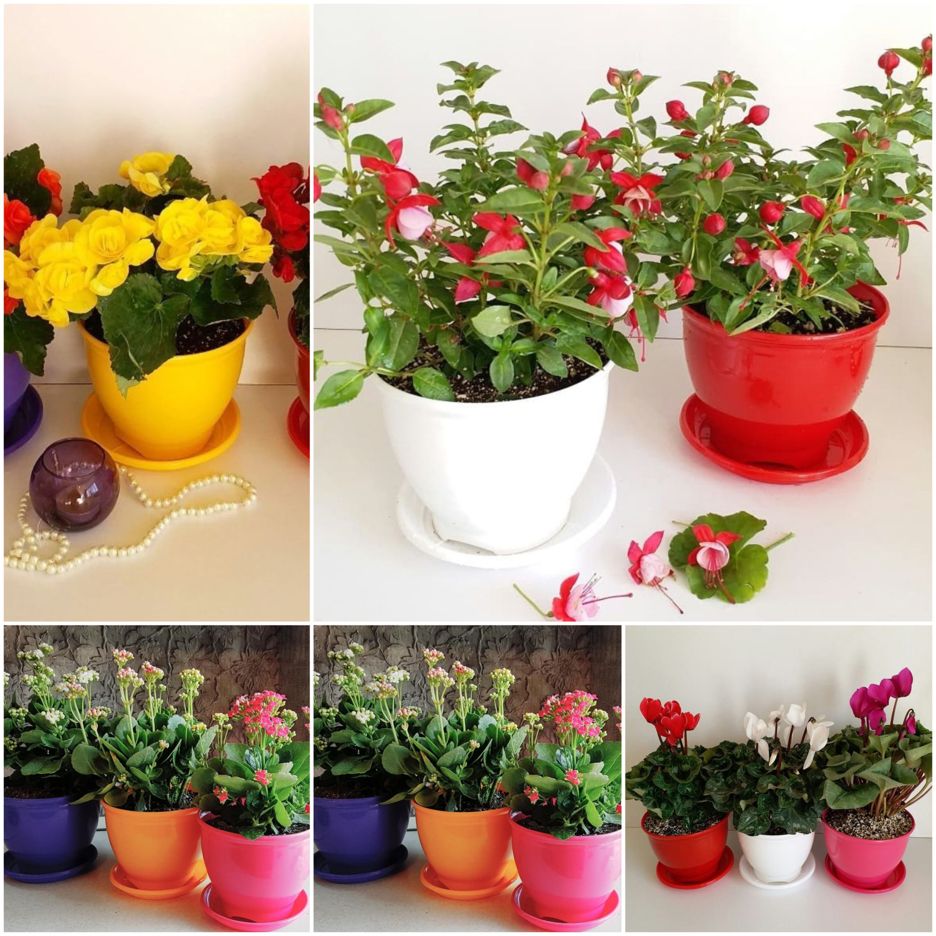 گلدان مدل پلاستیکی گرد کد 25 بسته 2عددی