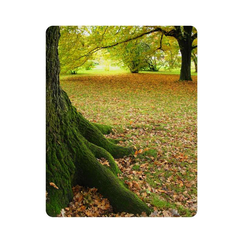 ماوس پد اطلس آبی طرح درخت و برگ پاییزی مدل  T7046