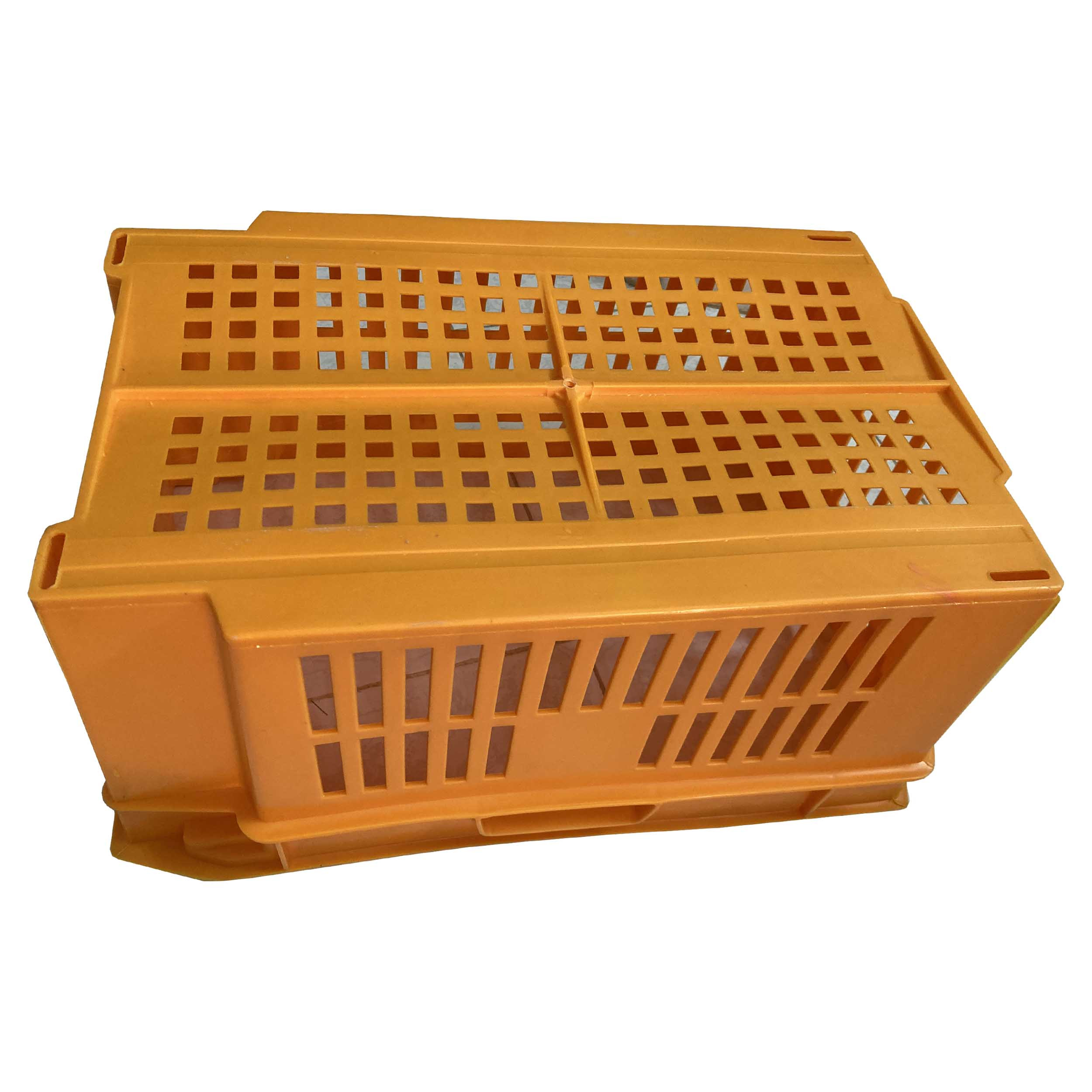 باکس مدل پلاستیکی بزرگ مواد یک کد A880
